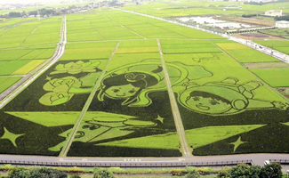  In the paddy, which is 165 meters wide and 180 meters long at its longest edge, the plants were planted in such a way as to create a picture of a boy in a spacesuit and a girl in ancient clothing, titled 
