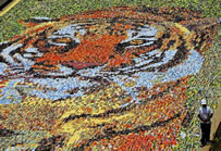 largest poscard mosaic world record set by the Camford Internatinal School students