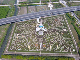 The world's largest hedge maze in Ningbo, China. 