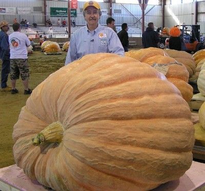  - world-record-pumpkin