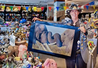 largest collection elephant memorabilia: Andy Swan