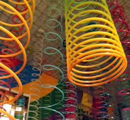 Susan Suazo of Los Lunas is now the proud holder of a new world record for the largest collection of Slinkys; she has 1,054 of the coiled spring toys.