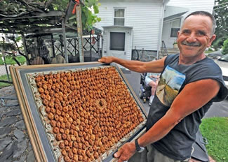  Since 1976, Joe Resendes has been collecting peach pits; he has collected more than 3,000 peach pits, thus setting the new world record for the Largest collection of peach pits, according to the World Record Academy.