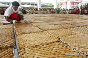 worlds largest mango pie Philippines