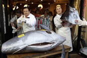 most expensive tuna fish Tokyo Kiyoshi Kimura