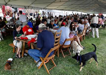 largest dog-friendly communal dinning event world record set during PetFest in Bridgehampton