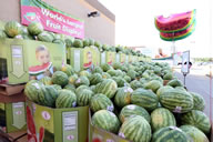 The World's Largest Fruit Display was approximately 1,500 square feet in area and contained about 10,200 watermelons. The total weight was estimated to be 157,000 pounds, exceeding the current Guinness World Records' record of 11,023 pounds.