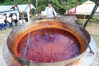  ?o?tari? and 12 assisting chefs spent 9 hours cooking up 12,500 portions of the stew to set a new world record. To make 4,650 litres of mewt stew (?obanac) ?o?tari? and his crew used 1,700 kilograms of meat and 300 kilos of onions.