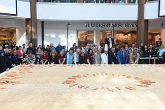 Guildford Town Centre partnered with Chef Mickey Zhao of Saint Germain Bakery to bake and assemble the 20-foot, record-setting carrot cake, weighing approximately 2.25 tons (2250 kg), and containing 460kg of carrots.