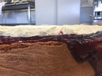 Steven Oxford, from Alweston, near Sherborne, Dorset, has created a giant Victoria sponge cake just under 5ft (1.5m) wide and 8.5 inches (21cm) in height, which sets the new world record for the Largest Sponge Cake.