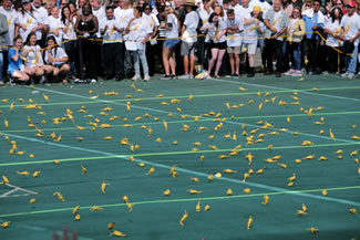 A total of 1,025 people toss rubber chickens during Soboba Casino's attempts to set a World Record for the largest rubber chicken toss.