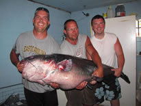 largest blue catfish Nick Anderson