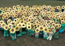 most people dressed as sunflowers St Ives