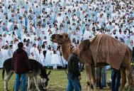  A living nativity display in Utah has broken the Guinness World Records' record for the largest nativity in the world, with 1,039 people as well as a camel and some sheep taking part in the display that was presented to the city of Provo; volunteers and YouTube stars played roles like Mary, Joseph, the shepherds and numerous angels, setting the new world record for the Largest live nativity scene, according to the World Record Academy: www.worldrecordacademy.com/.