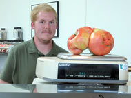 Dan MacCoy stands with his world record 8.41-pound tomato. Photo: Dan MacCoy/MCT 