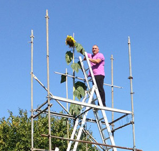 A gardener from Germany, Hans-Peter Schiffer, broke his own world record with a sunflower measuring 30 feet 1 inch.