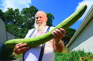  Butch Taulton grew a 43-inch exotic cucumber in his garden. 