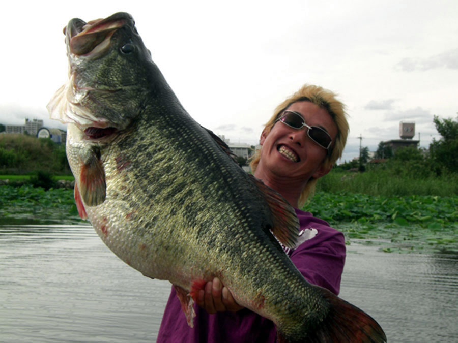 Biggest Largemouth Bassworld record caught by Manabu Kurita