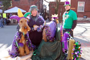 most dogs in costumed attire St. Louis