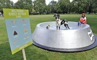 The super bowl, which has been made by Fetch.co.uk , is a whopping 4.5m in diameter, stretches 1m tall and can hold up to 2000 litres of water.