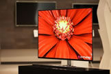largest OLED TV Panel 55-inch OLED TV Panel from LG