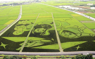 In the paddy, which is 165 meters wide and 180 meters long at its longest edge, the plants were planted in such a way as to create a picture of a boy in a spacesuit and a girl in ancient clothing, titled "Mirai e tsunagu inishie no kiseki" (Trajectory from ancient times to the future).