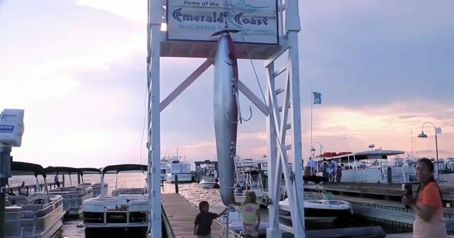 Largest Fishing Lure: Sandestin Golf and Beach Resort sets world record (HD  Video)