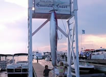 largest fishing lure Destin Florida
