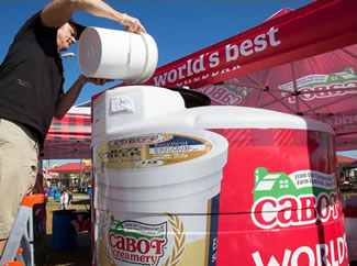 The World's Largest Smoothie used more than 250 gallons of Cabot Vanilla Bean Greek Yogurt, 2,000lbs of fresh Florida strawberries; 3,375lbs of ice and 265lbs of Cabot Whey protein powder.