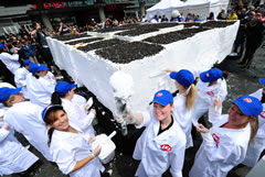 largest ice cream cake Toronto