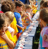 longest chain of ice cream sundae