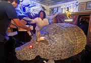 largest red velved armadillo cake Houston