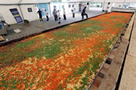 world's largest lasagna in Krakow Poland