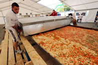 world's largest lasagna in Krakow Poland