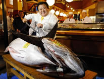 most expensive tuna fish world record set by Japan bluefin tuna