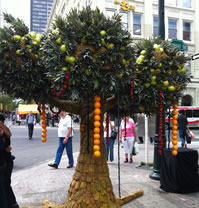 largest fruit sculpture world record set by Orange Julius in Calgary, Canada