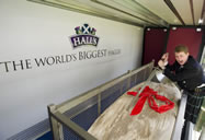 Photo: The World's Largest Haggis tipped the scales at 1.01 ton, or 2227lbs - a whopping 993lbs heavier than the previous Guinness World Records' record. Measuring more than 2.5m long, 1m wide and a metre high, the recipe included 750lbs of oats and almost 90lbs of onions.
