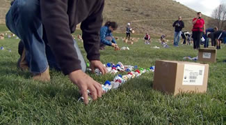 Representatives with Boise's Happy Family brands lined up more than 10,000 packages of baby food in the park as they tried to build a 1.2 mile chain to get in the Book of World Records. 