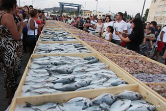 A total of 2,613.8 kg seafood were displayed on Sunday, Sept. 4, 2016, in Batroun, Lebanon, breaking a Guinness World Record for the largest seafood display.