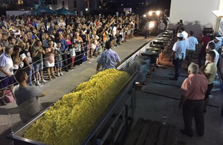  The island of Naxos in Greece broke the Guinness world record of largest serving of chips (fries/Tiganites Patates) at the 8th Annual Potato Festival on the island, which is renowned for its mouthwatering potatoes. It took more than 1,500 kilograms of potatoes, 22 huge caldrons, the hard work of 40 volunteers and the determination of a whole island.