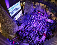 Hundreds of people laced up their shoes at Mall of America to break the Guinness World Records world record for the most people tying their shoes simultaneously, all in honor of World Diabetes Week.