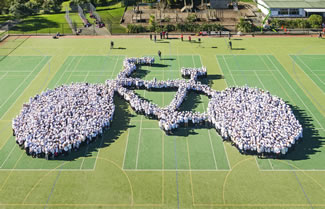  A group of 1799 school children, teachers and parents claimed the World Record title for the 'largest human image of a bicycle' at Glen Eden Intermediate on 9 June. The entry saw kids, parents and teachers create the shape of a bicycle and hold their position for five minutes on the school sports turf.