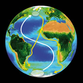 Photo: Migration patterns of the Arctic tern, from the breeding sites in Greenland and Iceland to the winter grounds at Antarctica. The birds take a month-long break in the Northern Atlantic to refuel