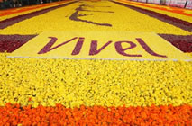 world's largest floral arrangement by Vivel India