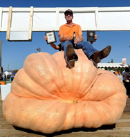 Heaviest pumpkin: Tim Mathison breaks Guinness World Record 