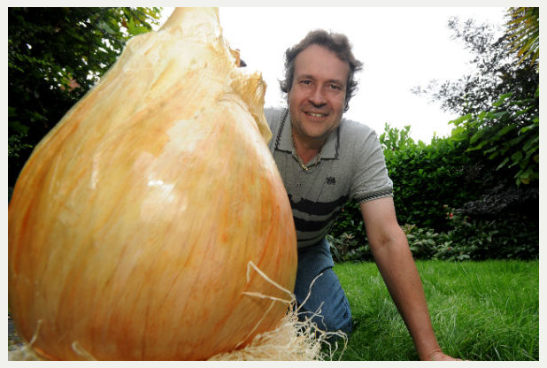 214073_heaviest_onion_Tony_Glover.jpg