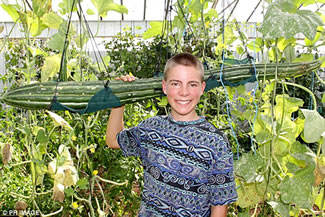  Teenager Keegan Meyers pictured with his world record cucumber in the glasshouse, measuring 1.3 metres long and weighing five kilograms. 