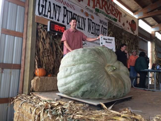 Scott Holub's squash weighed in at 1,844.5 pounds Saturday, crushing the Guinness World Record of 1,486.6 pounds.