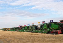 most combines harvesting at once