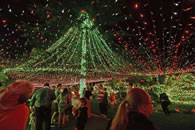 Most Christmas lights on a residential property: Australian family breaks Guinness World Records' record